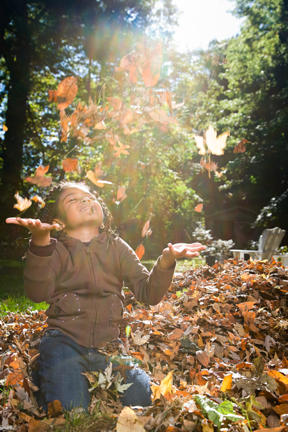 Finding Joy